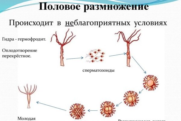 Сайт kraken darknet